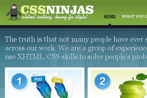 CSS Ninjas