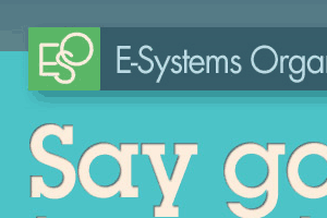 E-Systems Organizers