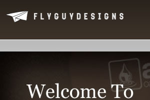 Fly Guy Designs