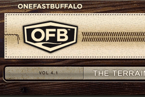 One Fast Buffalo