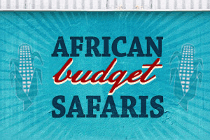 African Budgets