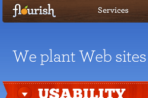 flourish web design
