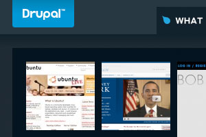 Drupal.com