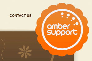 amber support services