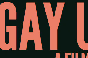 Gay U.S.A.