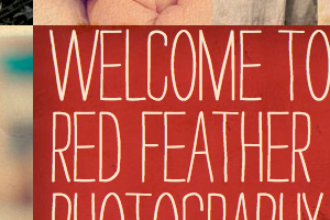 Red feather photography
