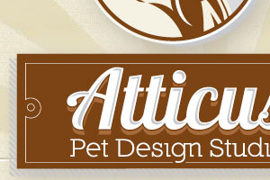 Atticus Pet Design