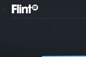 Flint Interactive