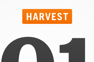 Harvest – 2012 year in work